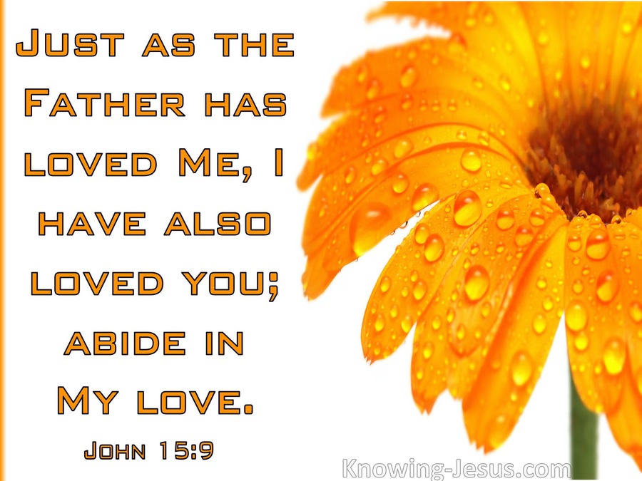 John 15:9  Abide In My Love (orange)